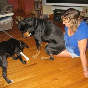 Meet your Posher, Twyla